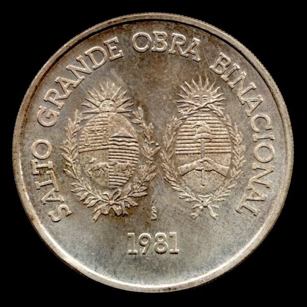 Uruguay 100 Nuevos Pesos 1981 KM# 80 - Imagen 2